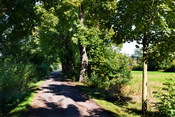 Beautiful autumn Trees around River Sazava from the central Czech 