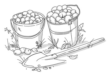 Two buckets of potatoes and a shovel. Autumn vegetable harvest. Hand drawn black and white line vector sketch. Agriculture plant production.
