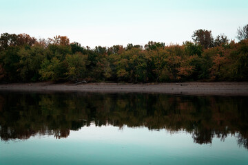 reflection of trees in the lake