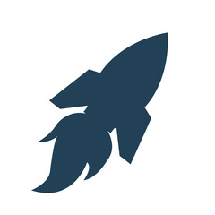 Rocket launch, ship. illustration concept of business