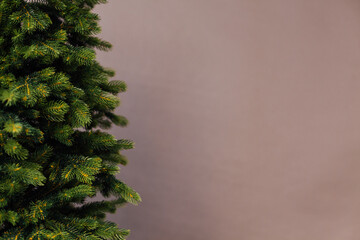 Branches of the Christmas tree pine place for the inscription of the new year gray background
