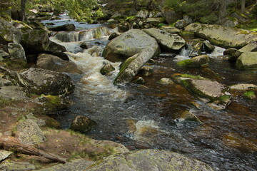 Naklejka na ściany i meble Rapids in river Vydra in Bohemia Forest in Czech republic,Europe 