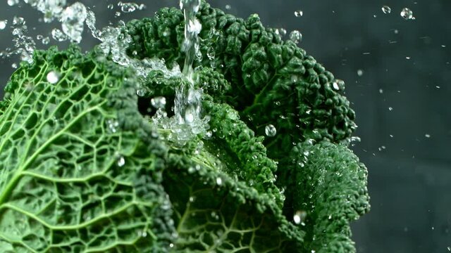 Water spinning off cabbage in super slow motion filmed on high speed cinema camera.