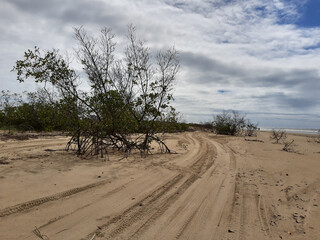 Spring time in northeast Brazil 