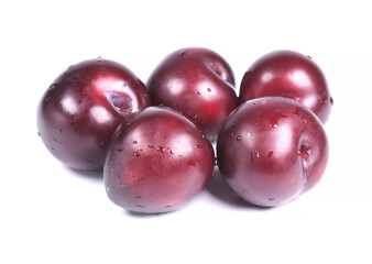 plum on white