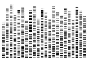 DNA Test White Background Genome Sequence Map Barcoding - obrazy, fototapety, plakaty