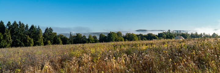Panorama Wiese und Wald