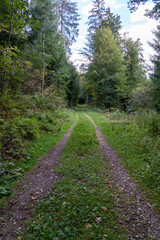 Fototapeta na wymiar Forstweg durch den Wald