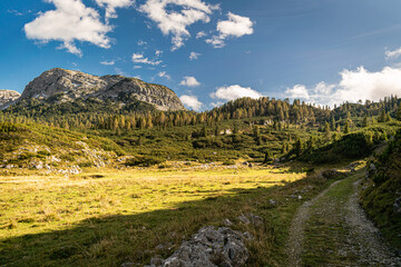 Fototapeta premium Impressive mountain landscape, blue sky with white clouds, rocky peaks and fir forests, green pastures and a pathway. Piani Eterni, Dolomiti Bellunesi National Park, Italy