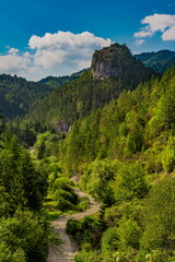 Distance view on the Ravna stena (Flat rock) of mountain Tara in Serbia