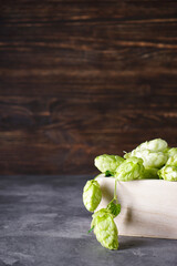 Hops on wooden background, space for text