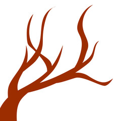 branch of tree isolated on white background