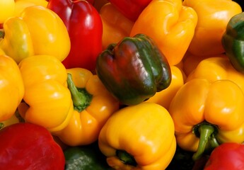 multicolor various peppers for salad or cooking