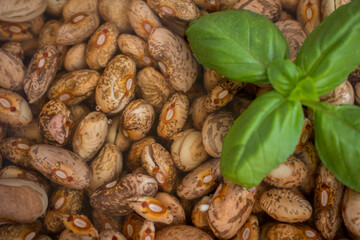 Beans beans. Dried brown beans and green basil leaves, texture. Food. Spice. Up close.