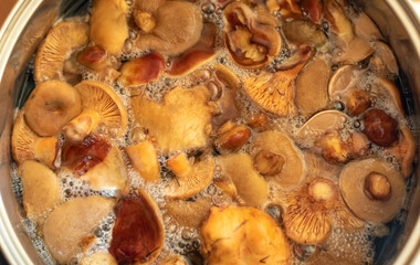 Mushrooms are cooked in a saucepan on the stove