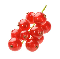 Johannisbeeren