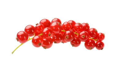 Johannisbeeren