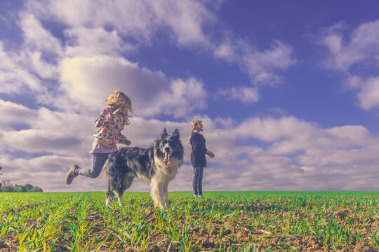 children and dog playing in green rural field in magic dramatic landscape