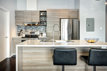 Beautiful modern well staged furnished apartment in apartment building, Canadian North American style