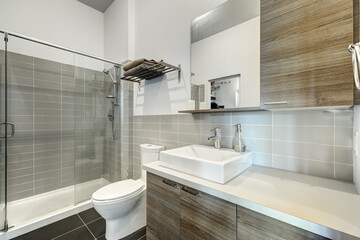 Beautiful modern well staged furnished apartment in apartment building, Canadian North American style