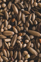 Mixed Bird seeds macro close up,