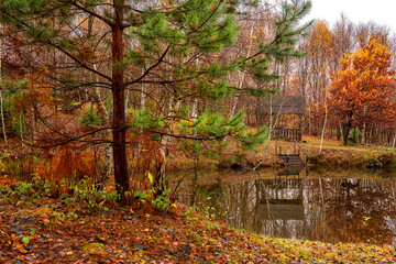 Misty late fall landscape, wild lake in the autumn forest with reflection in the calm water