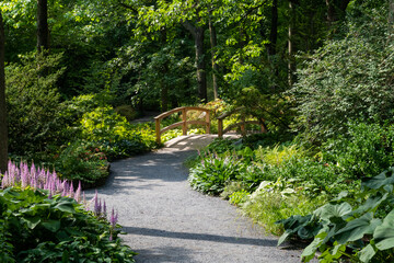 Fototapeta na wymiar Beautiful view of a footpath leading to bridge in a botanical garden