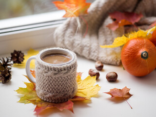A Cup of hot coffee in a knitted sweater on the autumn window with maple leaves and a knitted warm scarf