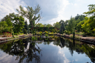 Fototapeta na wymiar Montreal, Canada - august 2020 : beautiful view of trees reflecting in a water pool in the botanical garden