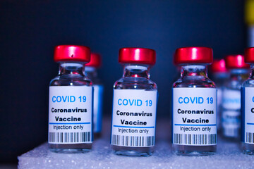 coronavirus vaccine trial in the world