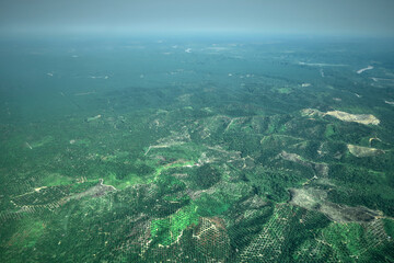 Palm tree plantation, Aerial View of rainforest deforestation in Indonesia for Palm Oil trade
