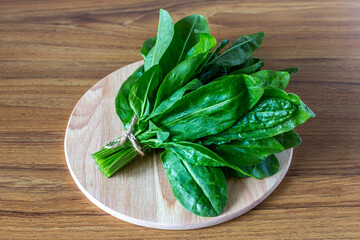 A bunch of fresh sorrel leaves on a wooden Board.