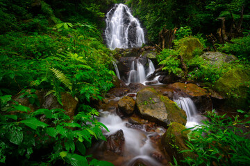 Waterfalls in the green forest. Hidden paradise of jungles. Tropical forest view. 