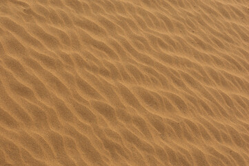 Fototapeta na wymiar send patterns in Khuri sand Dunes, Jaisalmer, Rajasthan, India
