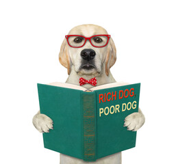 A dog in a red bow tie and glasses is holding an open book and reading it. White background. Isolated.