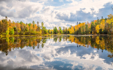 Autumn scenes under sunny day	