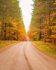 Autumn scenes under sunny day	