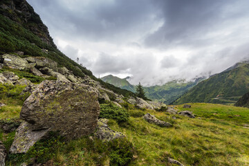 large rock on a green meadow in the mountains