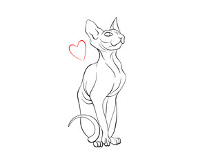Sitting canadian Sphinx with heart illustration