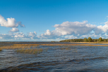 Lomonosov district. Scenic view of Cape Grey horse and the Bay next to the Cape.