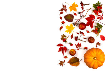 Autumn composition. Made of autumn leaves, berries and pumpkin on white background. Flat lay, top view, copy space