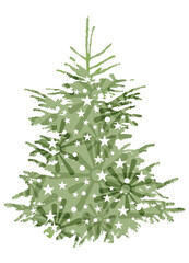 grüner Christbaum, Tannenbaum oder Weihnachtsbaum
