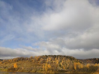 autumn in the forest