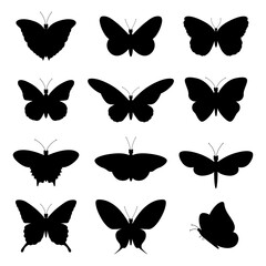 illustration of silhouettes of black diverse butterflies on a white background