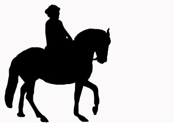 Obraz na płótnie Canvas cheval cavalier 