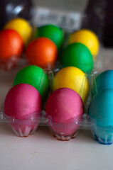 colored eggs in the egg tray