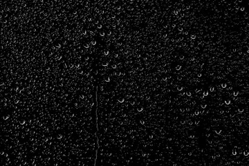 Drops of water flow down the surface of the clear glass on a black background.	
