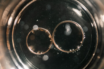 Gold precious wedding rings in a glass of sparkling champagne