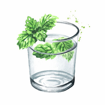 Glass of purified drinking water with fresh mint leaves, Hand drawn watercolor illustration isolated on white background