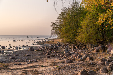 Lomonosov district. Scenic view of Cape Grey horse and the Bay next to the Cape.